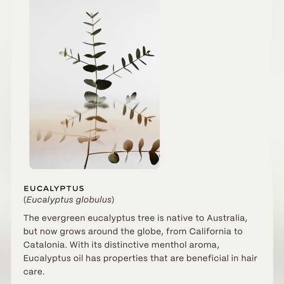 Twentynine Palms Desert Tumbleweed
Cleansing Shampoo & Conditioner Set - Picture 5 of 5